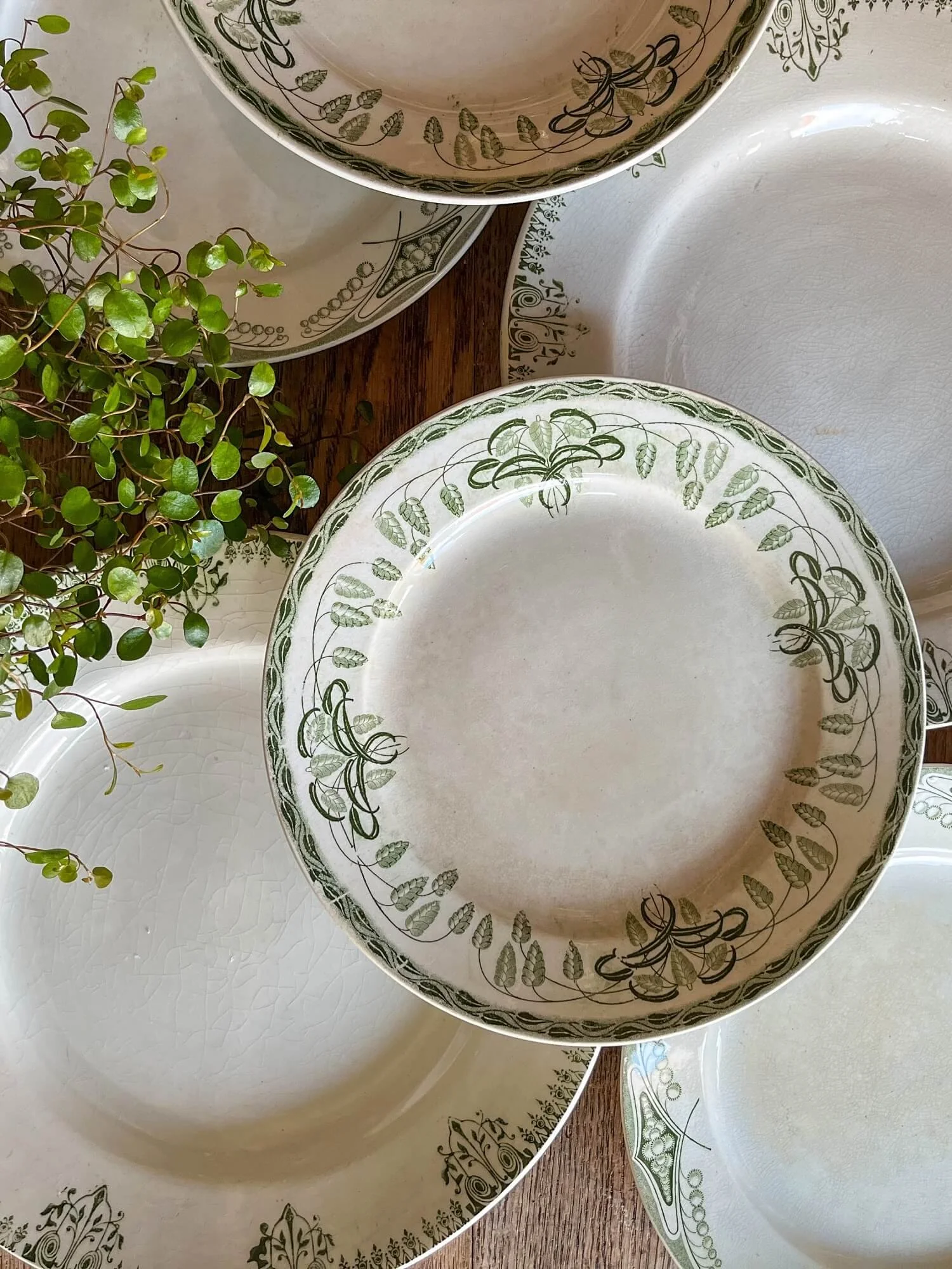 Antique Societe Ceramique Terre de Fer Plates | Green Ironstone